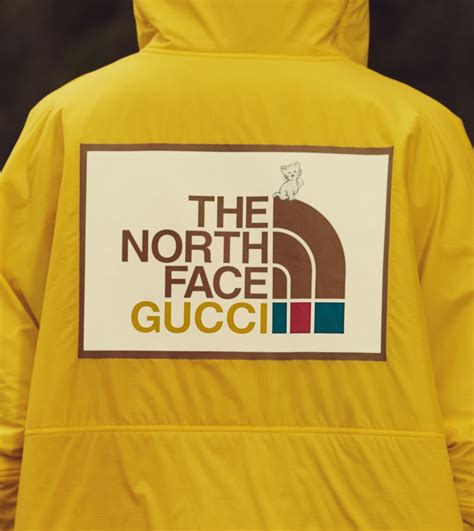 collab the north face gucci|Gucci north face shop.